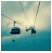 this is ipsum-img